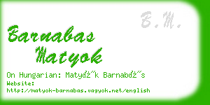 barnabas matyok business card